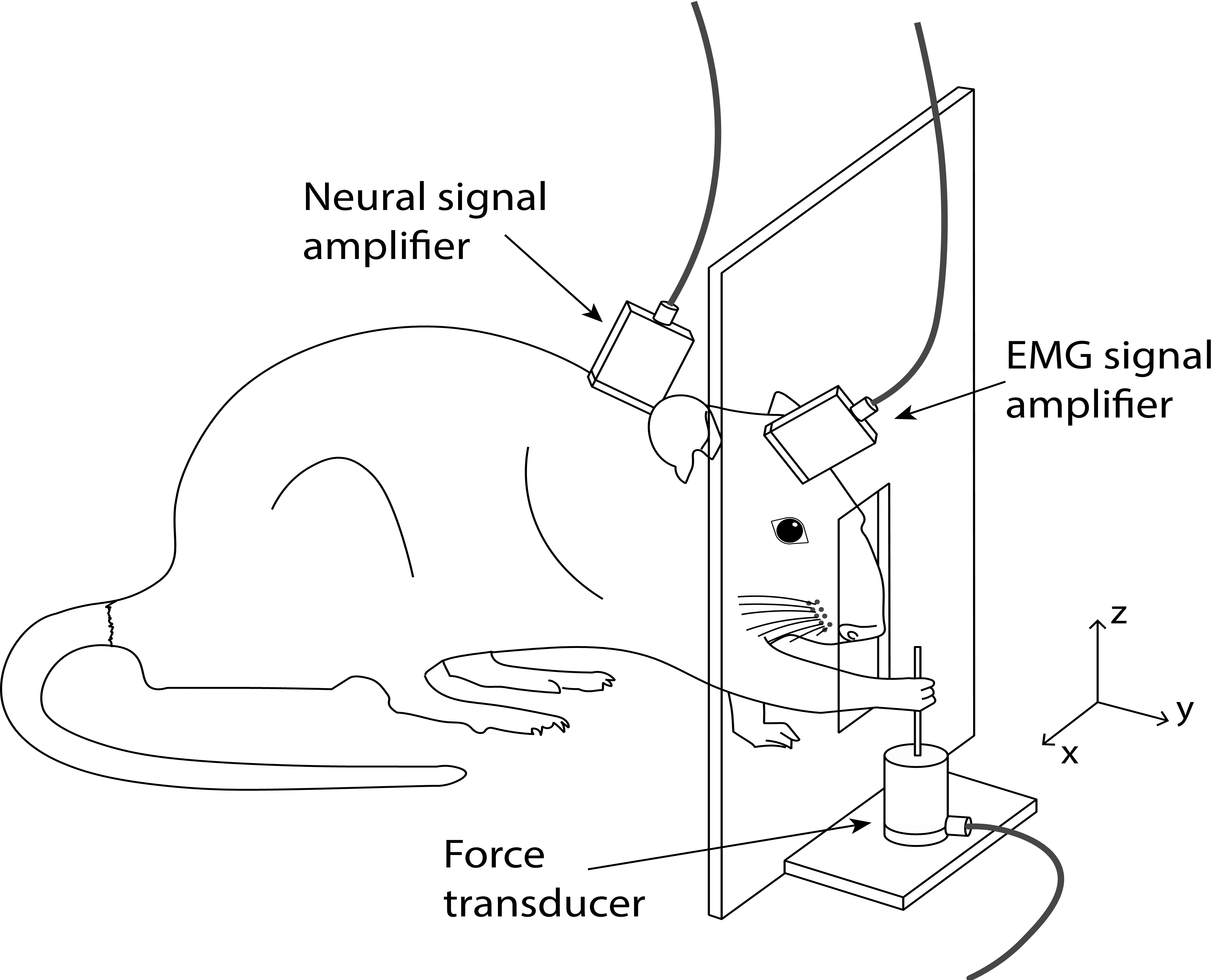 Reach-to-pull task